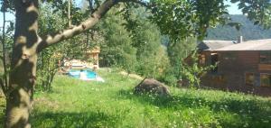 a yard with a house and a swimming pool at Gutsulochka Apartment in Yaremche