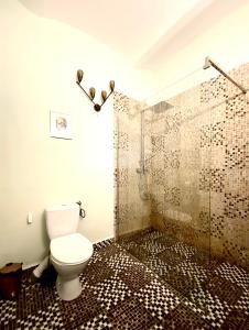 une salle de bain avec toilettes et douche dans l'établissement Casa Irina, à Braşov 22 autres photos