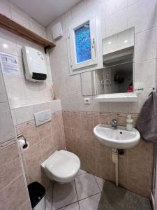 La petite salle de bains est pourvue de toilettes et d'un lavabo. dans l'établissement "La petite Maison", à Sainte-Foy-lès-Lyon