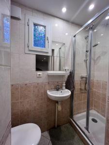 uma casa de banho com um WC, um lavatório e um chuveiro em "La petite Maison" em Sainte-Foy-lès-Lyon