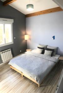 een slaapkamer met een groot bed in een kamer bij Appartement lumineux avec grande terrasse in Clermont-Ferrand