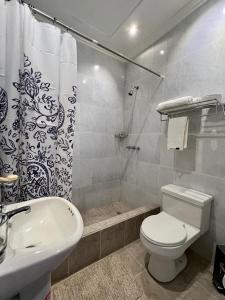 a bathroom with a toilet and a sink and a shower at Estancia Jardín de Teresita 