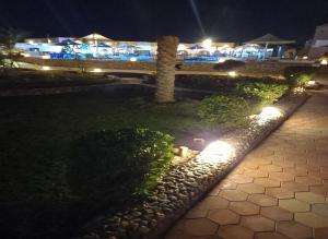 A garden outside Dolphin Continental Hotel