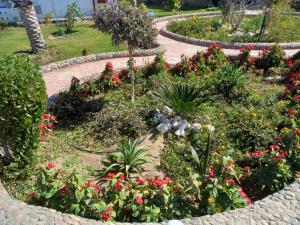A garden outside Dolphin Continental Hotel