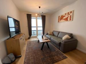 a living room with a couch and a television at Zen Apartments Jahorina - Snježna Dolina Resort in Jahorina