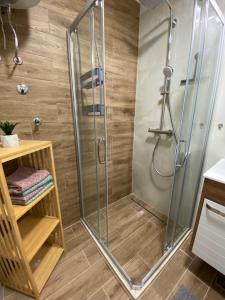 a shower with a glass door in a bathroom at Zen Apartments Jahorina - Snježna Dolina Resort in Jahorina +30 photos