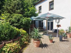 Zahrada ubytování Berghotel Steiger - Erzgebirge