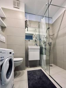 ein Badezimmer mit einem WC und einer Waschmaschine in der Unterkunft Zentrum: Prater, Messe, WU in Wien