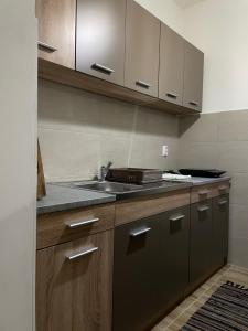 Apartman Ajs tesisinde mutfak veya mini mutfak +22 fotoğraf
