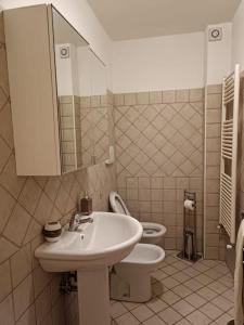 łazienka z umywalką i toaletą w obiekcie Vista Panoramica ALTOPIANO DELLE ROCCHE w mieście Terranera
