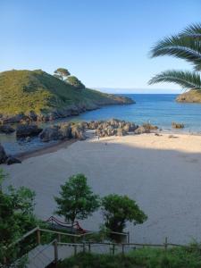 a beach with water and a palm tree and the ocean at EL COLLAU in Llanes
