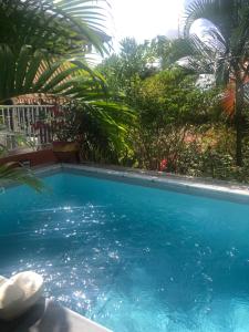 Bazén v ubytování Bel appartement dans écrin de verdure nebo v jeho okolí