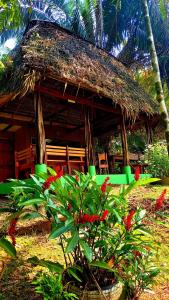 a hut with a grass roof and red flowers at Encanto Lodge in Drake