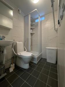 uma casa de banho com um WC, um chuveiro e um lavatório. em BRABO em Landskrona