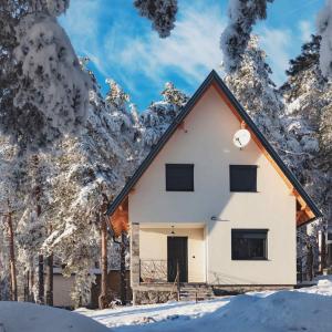 Vila Nadežda Divčibare during the winter