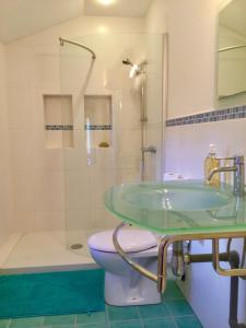 y baño con lavabo, aseo y ducha. en Belle et spacieuse chambre d’hôtes avec piscine, en Savignac-de-Duras