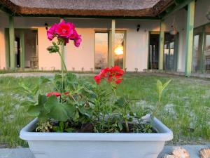 Imagen de la galería de Pensiunea Delta Drill, en Sfântu Gheorghe