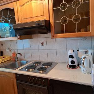 Kuchyň nebo kuchyňský kout v ubytování Chalet Waldrand