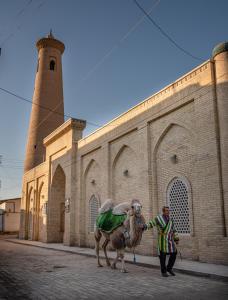 a man holding a camel in front of a building at New Star Boutique hotel - madrasah Muhammad Mahram 1903 in Khiva