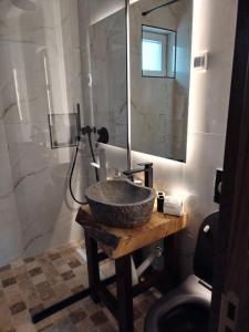 a bathroom with a stone sink and a shower at FAKTOTUM in Donja Ralja