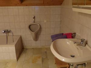 een badkamer met een wastafel, een urinoir en een bad bij Pleasant Apartment in Zenting with Garden in Zenting