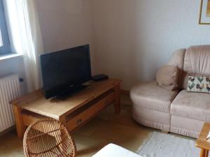 a living room with a couch and a television on a table at Pleasant Apartment in Zenting with Garden in Zenting