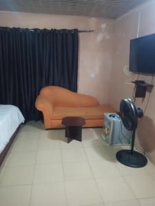 a living room with a couch and a television at Greendale apartment and Lodge in Ibadan