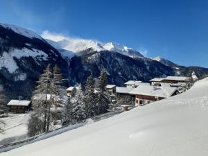 Appartement Gsaller v zime