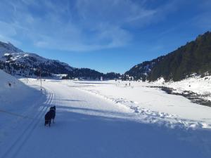 Appartement Gsaller v zime