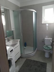 La salle de bains est pourvue d'une douche, de toilettes et d'un lavabo. dans l'établissement House Relic, à Veli Iž