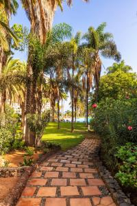 a brick path through a park with palm trees at Precise Resort Tenerife in Puerto de la Cruz
