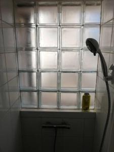 a bathroom with a shower head and a window at studio du soleil rez de jardin avec parking gratuit in Vence
