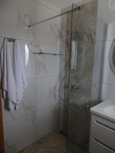 baño con ducha y puerta de cristal en Apartman Dabrović en Novska