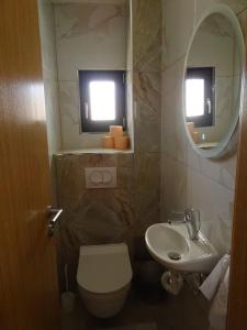 y baño con aseo, lavabo y espejo. en Apartman Dabrović, en Novska