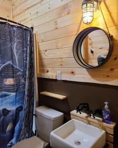 a bathroom with a toilet and a sink and a mirror at Smoky Hollow Outdoor Resort Covered Wagon in Sevierville