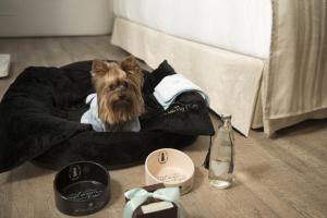 Ospiti di ME Milan Il Duca con animali domestici