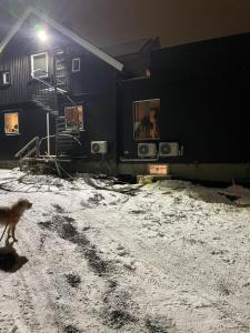 a dog walking in the snow in front of a building at Ny Hybel leilighet med eget bad og egen inngang in Moss