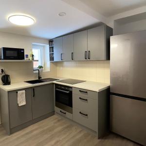 uma cozinha com electrodomésticos de aço inoxidável e armários cinzentos em Penzion Mája em Josefuv Dul