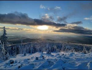 a view of a snow covered forest with the sun setting at Traumblick Bayerischer Wald, Pool & Sauna, Getränke, Klimaanlage in Freyung