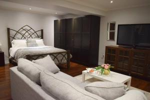 uma sala de estar com um sofá, uma televisão e uma cama em Home Away From Home - Basement Studio Apartment em Toronto