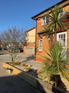 a cat is walking in front of a house at Newly Renovated 2 Bed house nr Fistral Beach & Gannel Estuary in Newquay