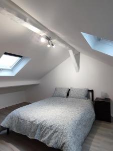 Schlafzimmer mit einem Bett und einer Decke mit Oberlichtern in der Unterkunft La vie en blanc et noir Maisons-Laffitte in Maisons-Laffitte