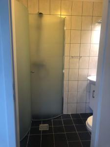 a bathroom with a shower stall with a toilet at Grønnegade - tæt på Esbjerg C in Esbjerg