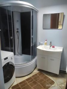 a bathroom with a shower and a sink and a washing machine at Romana Hotel in Chişinău