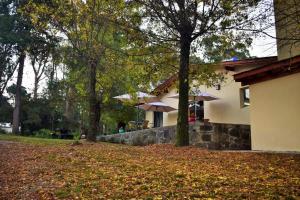 Posada Inguz في فيلا بيرنا: منزل به شجرة ويترك على الأرض