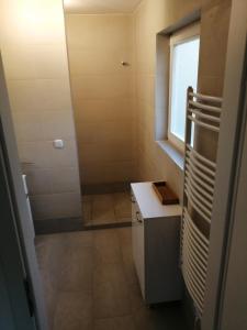 a small bathroom with a shower and a sink at Ferienhaus Brise Ostsee in Kalkhorst