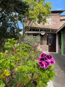 a pink flower in front of a house at MALAVI Cabaña Nobsa in Nobsa