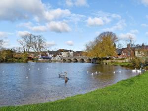 a flock of birds on a river with a bridge at The Coach House in Fordingbridge