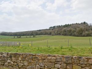 a stone wall in front of a green field at Honey Cottage in Newland