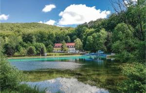 ein See mit einem Haus mitten im Wald in der Unterkunft Ferienhaus Zum Teichtal M in Hainrode